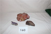 3 GEOS & PETRIFIED TREE LOT