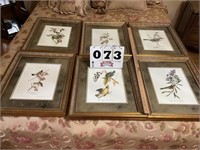6 Framed and matted bird pictures