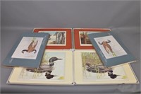 Sets of Wildlife Placemats