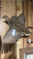 Wall Mount Grouse