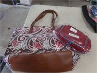 Cary bag with travel case
