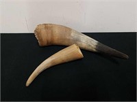 13 and 8 in animal horns
