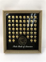 State Seals of America Framed Button Collection