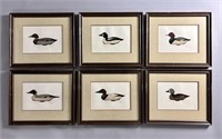 Six Original Framed Duck Artwork - Signed