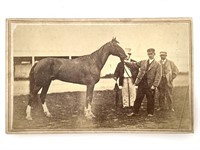 CDV Portrait Photo of Horse, Dexter, Trotter