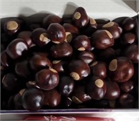 Container of Buckeyes