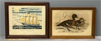 Waterfowl Ducks & Nautical Prints
