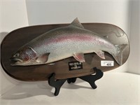 Rainbow Trout Trophy on Plaque