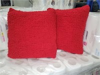 2 small decorative pillows