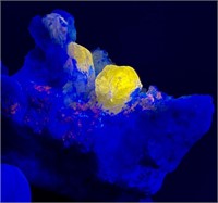 27 Gm Beautiful Fluorescent Sadolite Specimen
