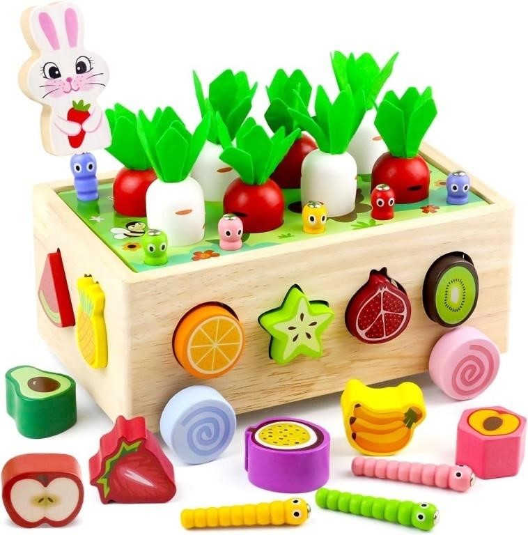 Montessori Toys for 3 4 5 Year Old Wooden Shape
