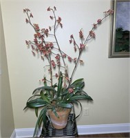 Flower Pot & Floral