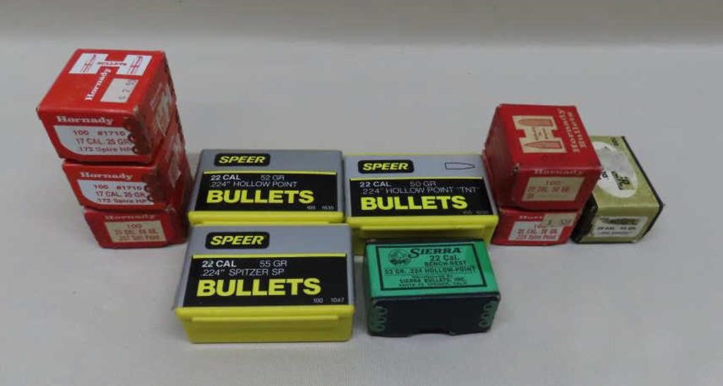 22 & 17 Cal. Bullets