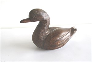 Ironwoood duck