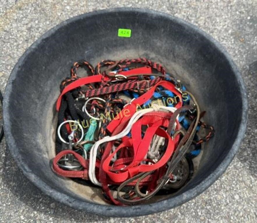 Rubber feed tub w/bits, halters, lead ropes