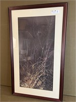 Print of Wolf in Brush Nicely Framed