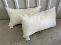 2 - 12"x20" Pillow Forms