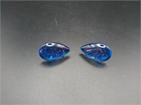 Shinny Blue Earrings