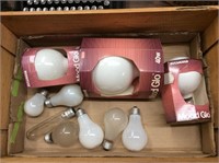 lightbulbs in Gran condal fine wines crate