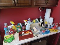 Cleaning Supplies--Contents of Counter