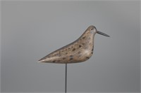 Rogers Rig Dowitcher