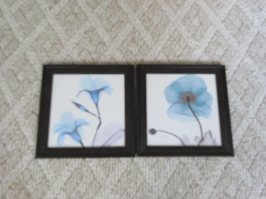 2 FRAMED PICTURES