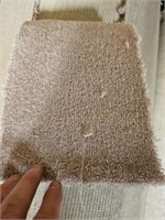 Medium roll of carpet