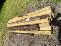 Posts-19 pcs, 4"X8'L