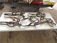 Various Leather Draft Horse Halters