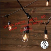 Portfolio 48’ String Lights