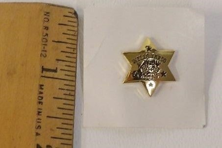 Wells Fargo Agent Mini Star Badge Lapel Pin