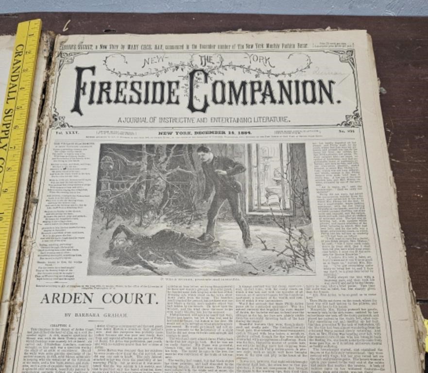 1800s New York Fireside Companion Bound News Paper