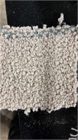 Medium to large roll of carpet