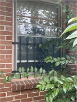 Wrought iron window panel back of house left side