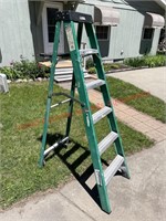 Fiber Glass Step Ladder