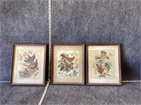 Old Framed Bird Illustrations