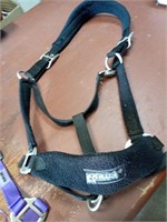 (Private) ROMA HEADSTALL