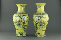 Pair Chinese Famille Verte Porcelain Vases Kangxi
