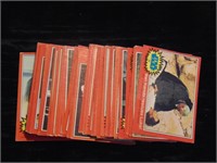 (50) Star Wars Collector Cards Marked 1977