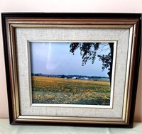 15 1/2×14 Countryside Framed picture