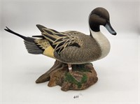 National Wild Turkey Federation Pintail Duck