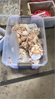 Tub of shells