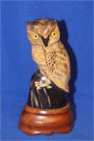 Horn Owl