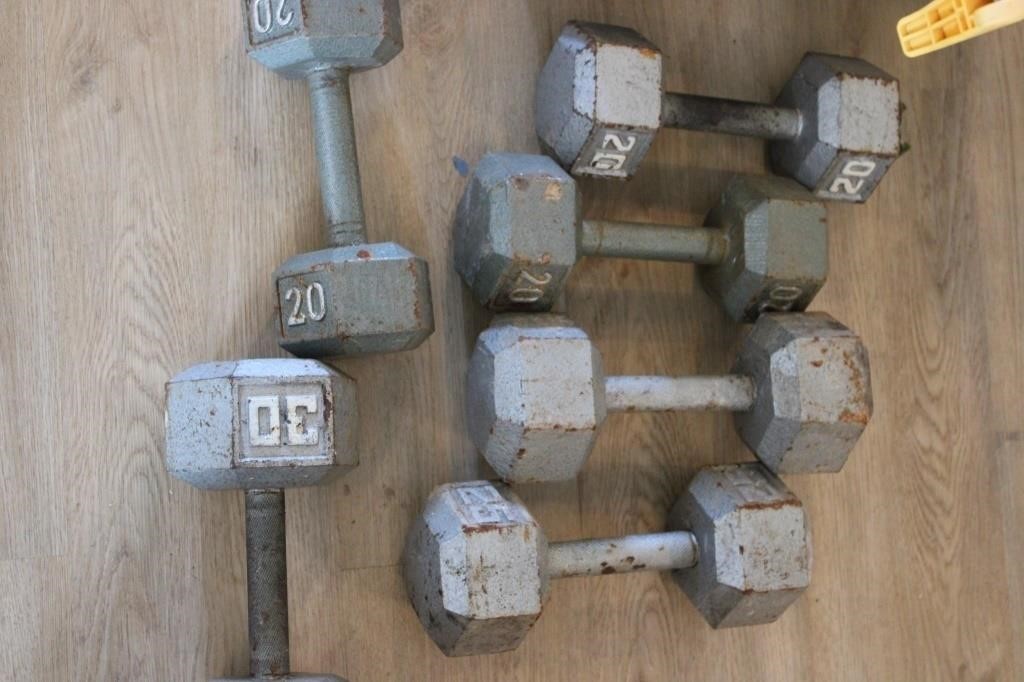 20 - 25 - 30 POUND DUMBELL WEIGHTS