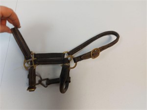 Foal or Small Mini Size Leather Halter