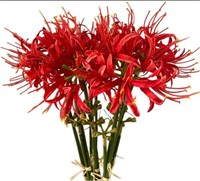 ($21) XIZHI 5 Stems Artificial Spider Lily Flowers