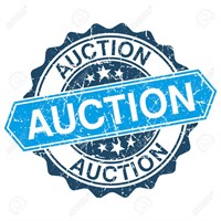 Live Public Farm/Tool/Household/Government Auction