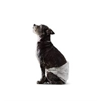 Basics Male Dog Wrap, Disposable Diapers, Small