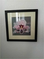 Embroidered Framed Silk Art - Multicolored Orchid