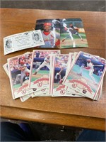 1991 St Louis Cardinals cards
